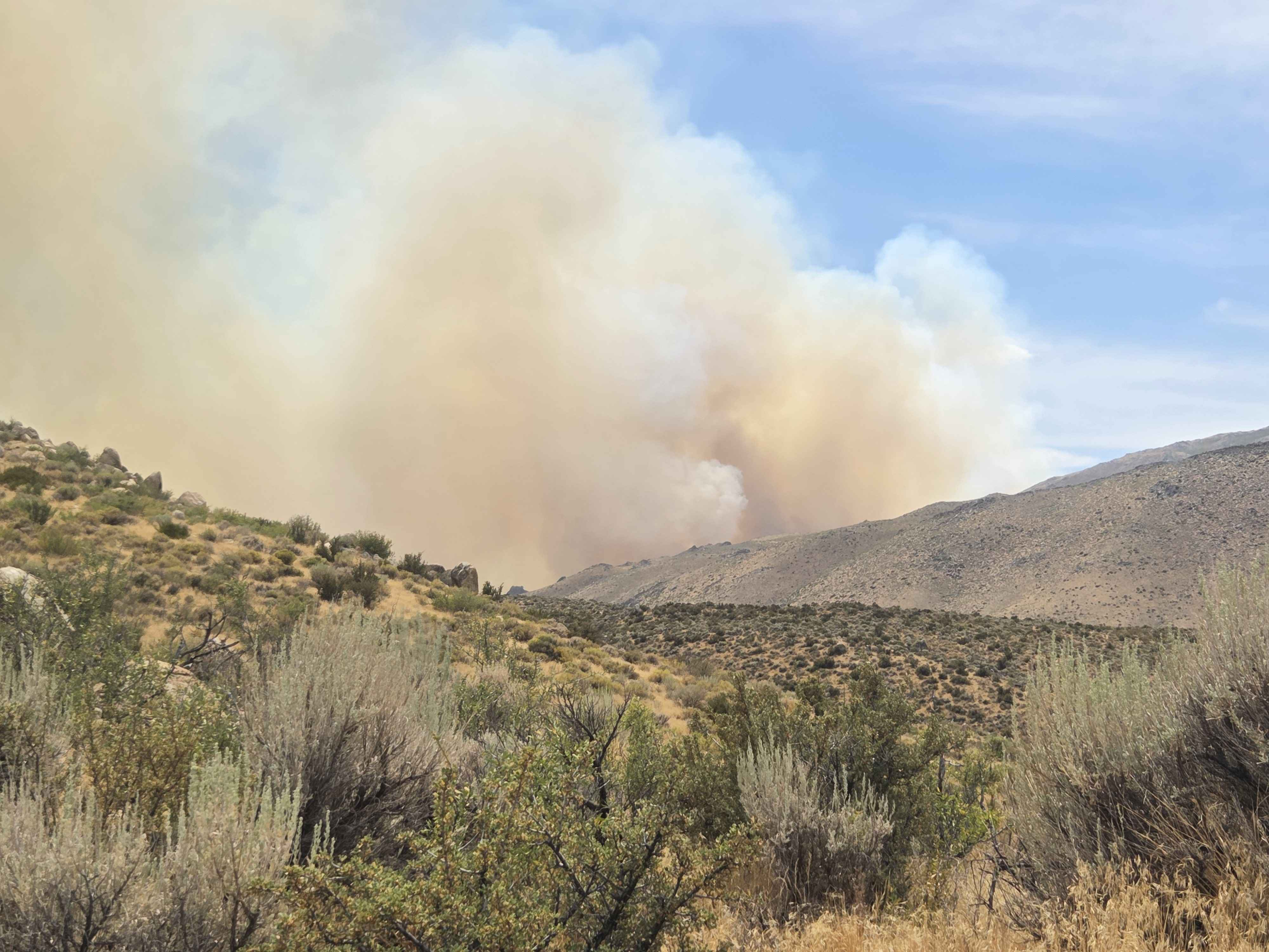 Smoke from a nearby desert fire seen from Fenner's porch
